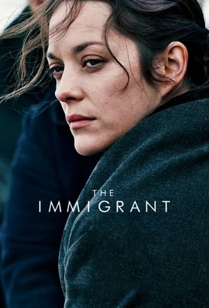 The Immigrant (2013) Hindi Dual Audio 300MB - Movierulz