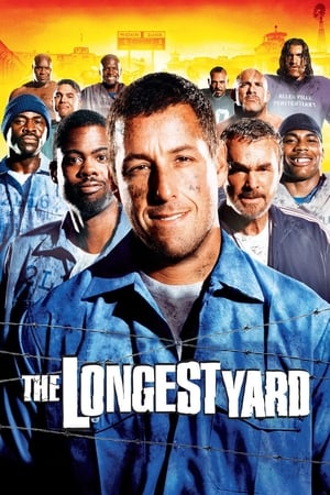 The Longest Yard (2005) Hindi Dual Audio 350MB - Movierulz