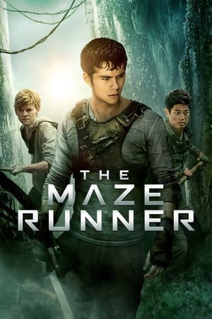 The Maze Runner (2014) Hindi Dual Audio 400MB - Movierulz
