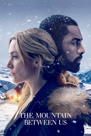 The Mountain Between Us 2017 Dual Audio Hindi [1GB] - Movierulz