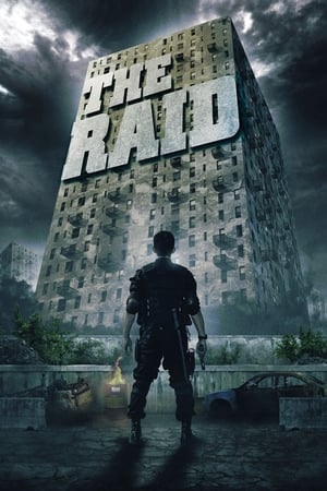 The Raid: Redemption (2011) Hindi Dual Audio 300MB ESubs - Movierulz