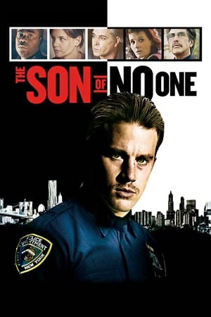 The Son of No One (2011) Hindi Dual Audio [900MB] - Movierulz