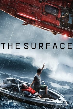 The Surface (2014) Hindi Dual Audio 300MB - Movierulz