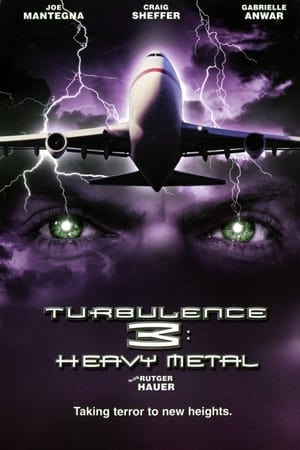 Turbulence 3 Heavy Metal 2001 Hindi Dual Audio 300MB - Movierulz
