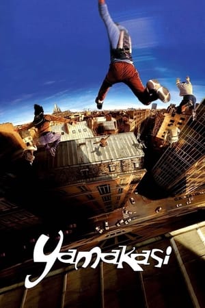 Yamakasi 2001 Hindi Dual Audio 300MB - Movierulz