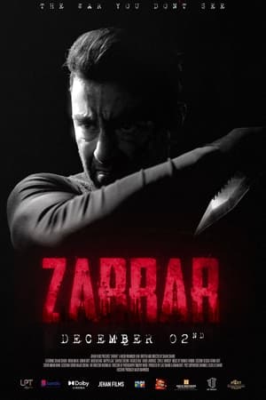 Zarrar (2022) Urdu Movie Pre- – - Movierulz